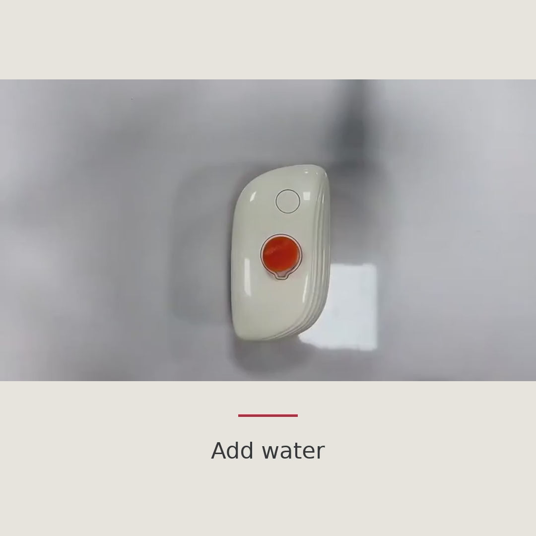 SpaMist demo: add water, press for a soft mist, brush with the grain, loose fur stays on the teeth