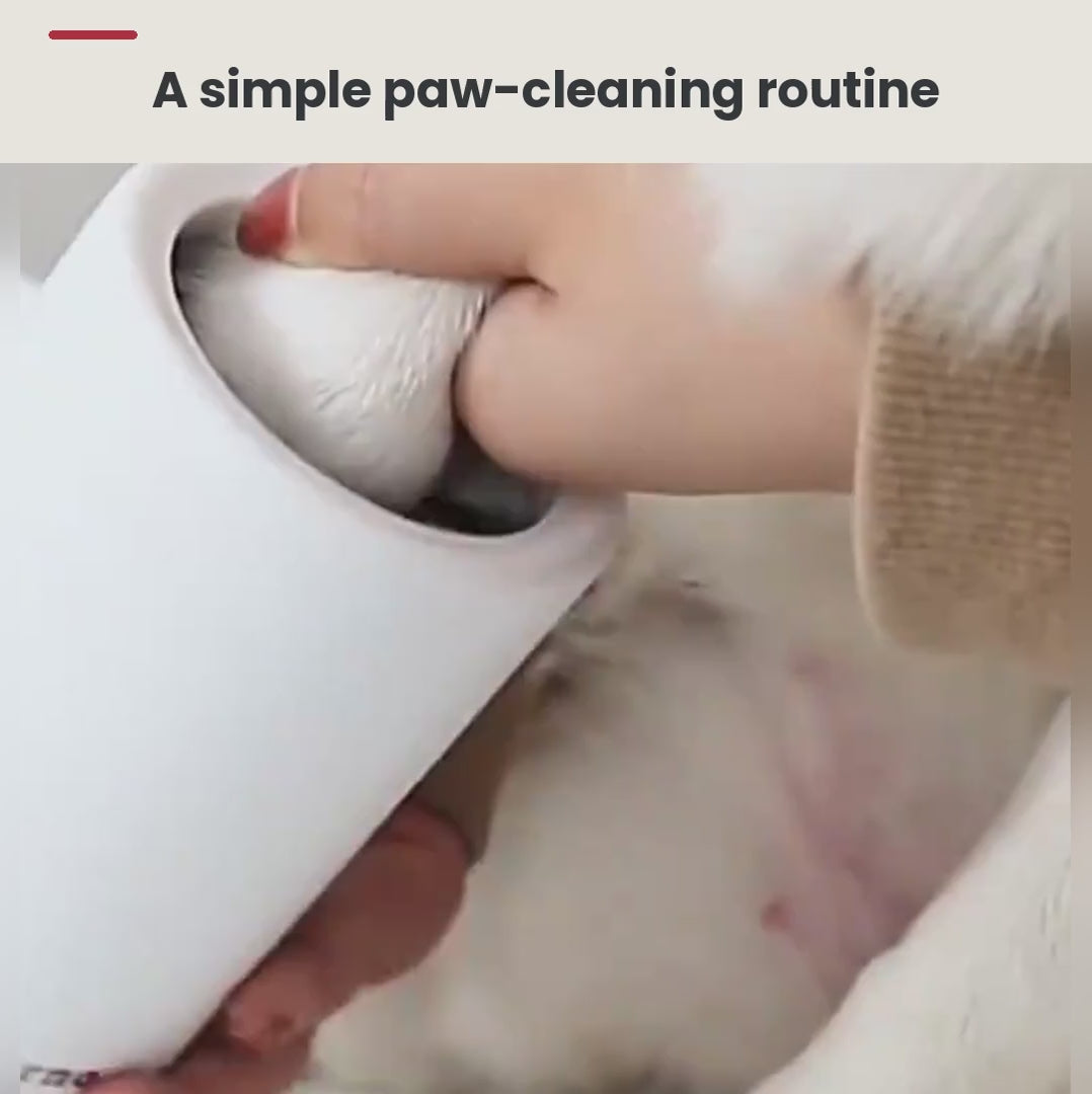 MudFree demo: dipping a muddy paw, a gentle twist, then patting dry