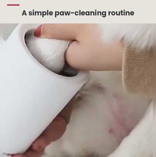 MudFree demo: dipping a muddy paw, a gentle twist, then patting dry